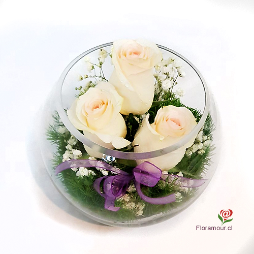 Fina presentación de tres rosas seleccionadas con follajes finos y paniculata blanca. Sólo Santiago. Seleccione color de rosas